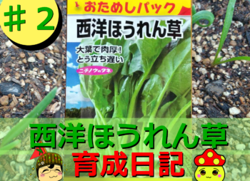 Thumbnail of post image 067